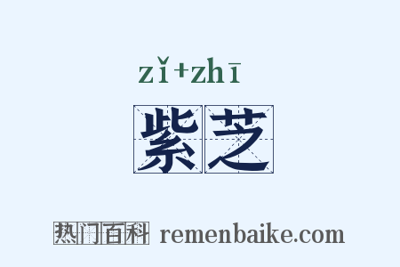 紫芝是什么意思的图片
